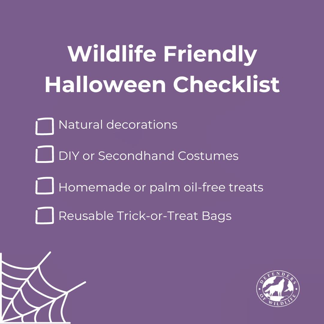 Wildlife Friendly Halloween Checklist - Natural Decorations, DIY or Secondhand Costumes, Homemade or palm oil-free treats, Reusable Trick or Treat Bags 